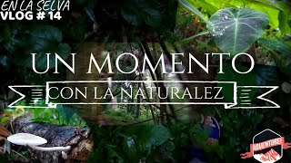 UN MOMENTO CON LA NATURALEZA | selva amazónica