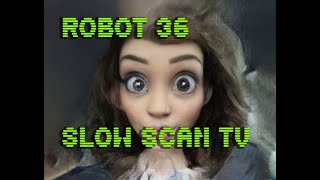 0082 Toonify SSTV Robot36