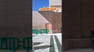 islami status inshAllah #ytshorts #feed #islamic #youtubefeed #viral #viralvideo #naats #yt #islami