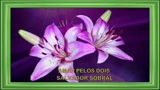 Salvador Sobral  ♥ Amar Pelos Dois ♥ (Violin Cover by Jean-Philippe)