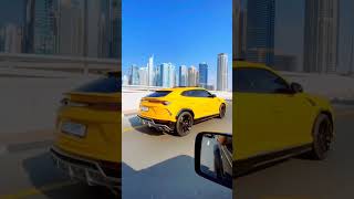 Lamborghini Urus & Aventador ||#shorts