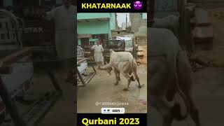 Rocket Mode On 😱🚀🚀🚀 | Season 2023 | Bakra Eid #shorts #angrycowvideo #season2023