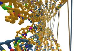 Relaxation of a DNA origami tube (close-up)