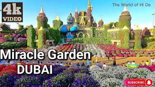 Miracle Garden | Tourist attraction in Dubai | The world's largest natural flower garden [4K]