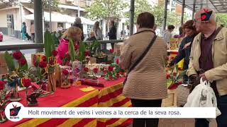 SANT JORDI a NOU BARRIS 2024