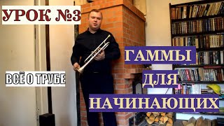 Всё о трубе. Урок №3. Гаммы для начинающих.