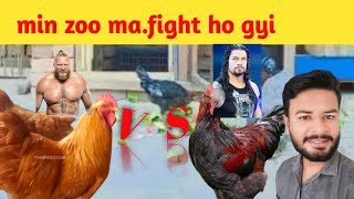 new murga ah gya mini zoo Mai ,aty hi fight kar li #chicken #hen #hensfarm #aseelmurga