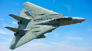 The Iconic Fighter Jet That Ruled the Skies | A Legendary Aircraft | F-14 Tomcat