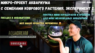 МИКРО-ПРОЕКТ. СУХОЙ СТАРТ. ЭКСПЕРИМЕНТ 2. MICRO PROJECT. DRY START. EXPERIMENT 2.