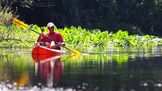 Kayak the Wekiva River