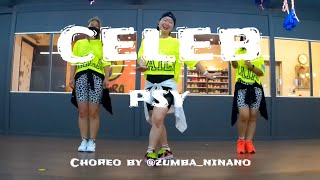 CELEB 셀럽 / 싸이 PSY / KPOP ZUMBA