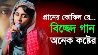 কষ্টের একটি গান প্রানের কোকিল রে আর ডাকিশ না  এমন করে, অনেক চমৎকার গাইলেন লিমা | Lima