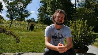 THE GREAT AMERICAN WINERY STROOPWAFFLE: EPISODE 4 GREENVALE VINEYARDS