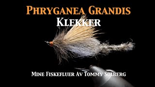 Phryganea Grandis Klekker. Mine fiskefluer, fluebinding, tørrflue, fluefiske og imitasjonsfluefiske