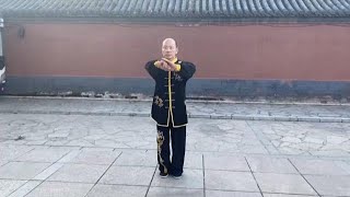 Chuojiao Fanzi  戳脚翻子拳 - Wen Tangzi Routines