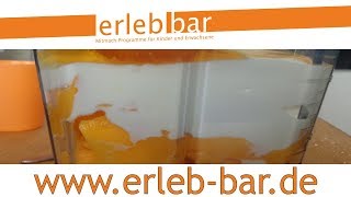 Aus der Eiswerkstatt – Mango-Joghurt-Eis selbst machen