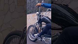 Softail Springer 90