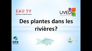 Des plantes dans les rivières?