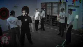 Wing Chun Stikhiya - 3.avi