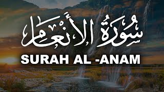 Quran Surah Al-Anam | سورة الأنعام | Best Recitation Of Quran | Tilawat Quran With Arabic Text