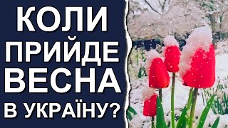 Синоптики ошеломили новым прогнозом погоды | Погода в Украине на февраль 2024