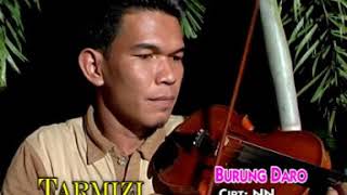 LAGU JAMBI ~ BURUNG DARO ~ TARMIZI