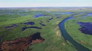 #Балхаш Дельта реки ИЛИ. Relax video: Delta of River ILI