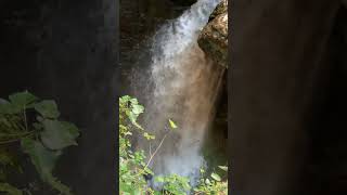 Georgia 🇬🇪 inside the Martvili Canyon