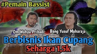 PEMAIN BASSIST BERBISNIS IKAN CUPANG !!!