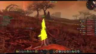 Silent - PvP - DFUW - Calfadar Random PvP Funnies