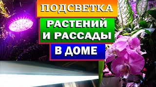 Все о лампах в моем доме. Рассада и стационарные растения. На что опираюсь при выборе. Результат.