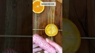 Homemade bird feeder #shorts #shortsvideo #homemade #birdfeeder #birdfood #orange #naturelovers