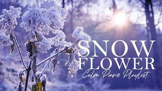 Snow Flower: A calm piano playlist (Sayuri Hayashi Egnell)