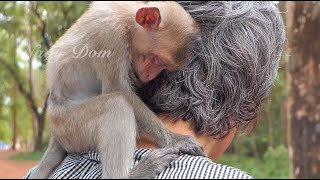 Thank Madam Yu kim for loving monkeys in Cambodia. she try to feed Shakira and others like KT