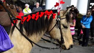 Edgartown Christmas Parade