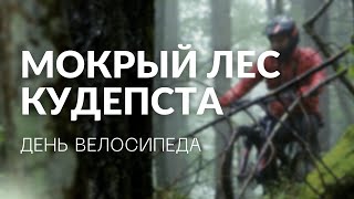 День велосипеда. Мокрый лес. Сочи. Кудепста // BIKE CENTER // Байк Центр