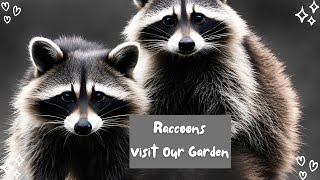 Tactacam Reveal: Raccoons EXPLORE Our Garden at NIGHT!