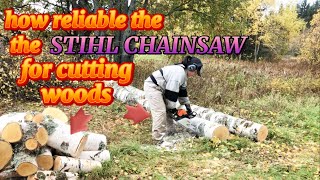 HOW RELIABLE THE STIHL CHAINSAW IN TERMS OF CUTTING WOODS