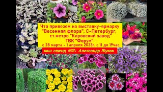 Что привезем на ярмарку"Весенняя флора",С-Пб, ст.м. "Кировский завод",ТВК"Форум" 28.03 - 1.04.23