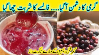 Falsay Ka Sharbat By Foodie Sania Zafar | Falsay Ka Juice | Falsay Ka Sharbat Banane Ka Tarika |