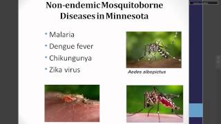 What You Need to Know about Vector-borne Diseases in Minnesota