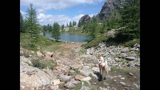 Escursione ad anello da Grange Selvest (Canosio) al lago Nero e al monte Bert 30_06_2024