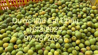 Mơ, táo mèo, sâm đương quy, ngọc cẩu, sâm đá 16/3-977/872/641