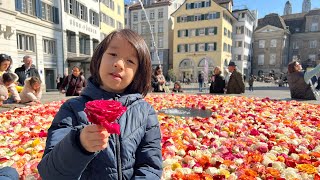 Zurich🇨🇭Rose Fountains 2023🌹⛲️ چشمه های گل رز شهر زوریخ ، از یک هفته قبل عید پاک/ایستر