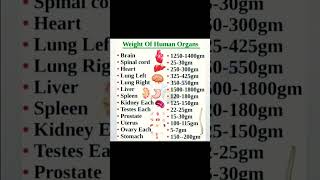 normal weight of human organs #body  #gk#gknowlages #gkshorts