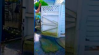 Oddly satisfying pressure washing #satisfyingpressurewashing #pressureclean