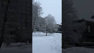 Oslo City in a Snowy Day //2 February 2024//