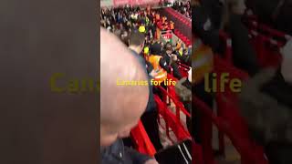 Canaries for life #viral #canaries #liverpool