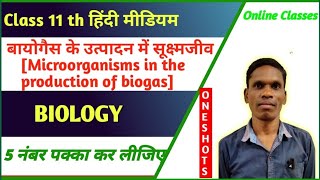 बायोगैस के उत्पादन में सूक्ष्मजीव Class 12 Ncert Biology |#plsirchitrangi is live!