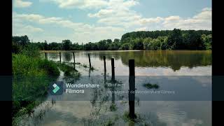 Doode Bemde Oud-Heverlee Natuurgebied volledig onder water /Réserve naturelle sous eau 16-07-2021